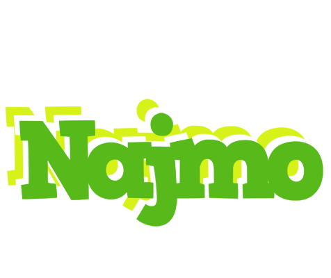Najmo picnic logo