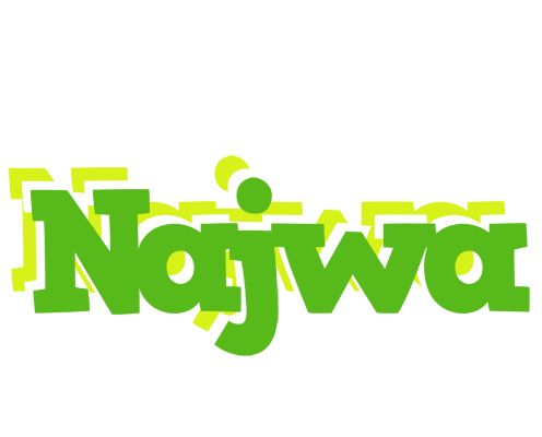 Najwa picnic logo