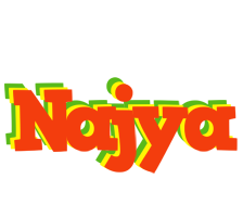 Najya bbq logo