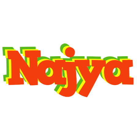 Najya bbq logo