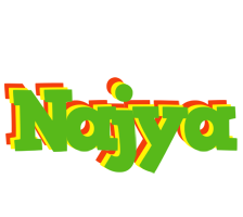 Najya crocodile logo