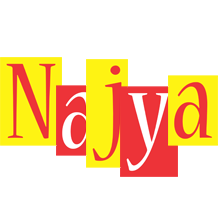 Najya errors logo