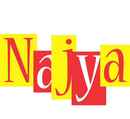 Najya errors logo