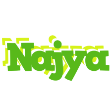 Najya picnic logo