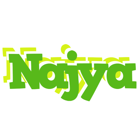 Najya picnic logo