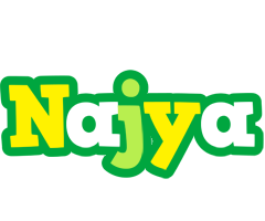 Najya soccer logo