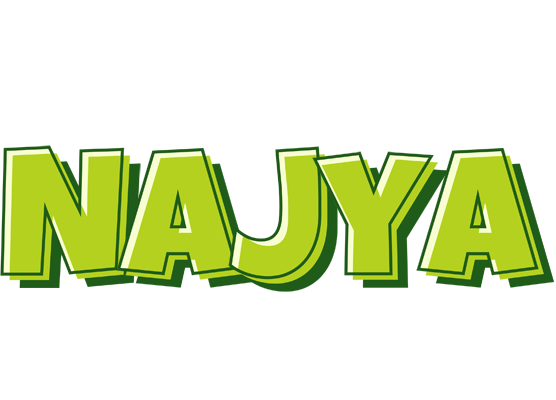 Najya summer logo