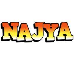 Najya sunset logo