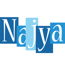 Najya winter logo