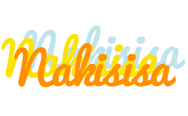 Nakisisa energy logo