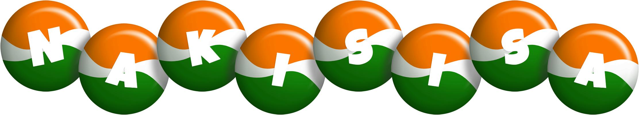 Nakisisa india logo