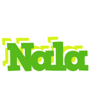 Nala picnic logo