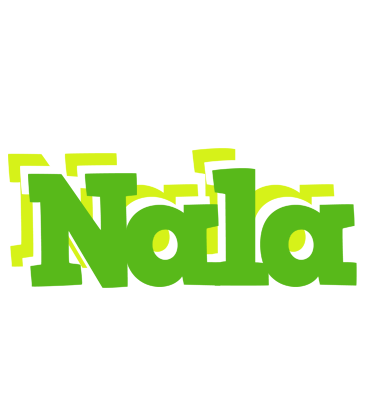 Nala picnic logo