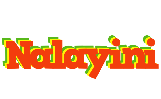 Nalayini bbq logo