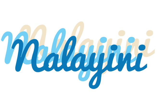 Nalayini breeze logo