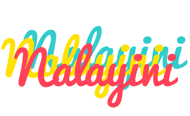 Nalayini disco logo
