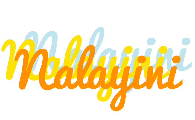 Nalayini energy logo