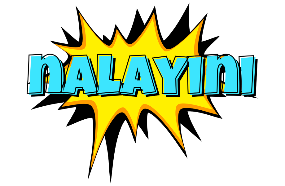 Nalayini indycar logo