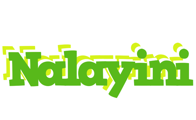 Nalayini picnic logo