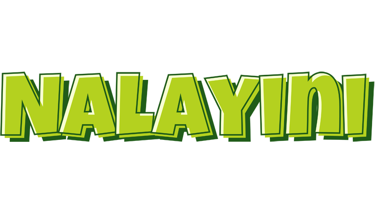 Nalayini summer logo