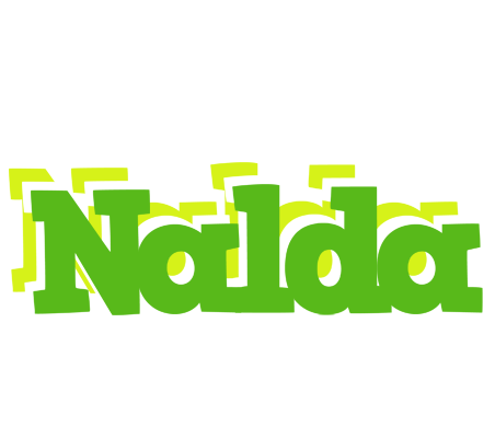 Nalda picnic logo