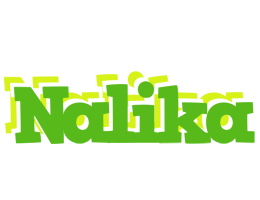 Nalika picnic logo
