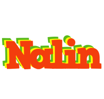 Nalin bbq logo