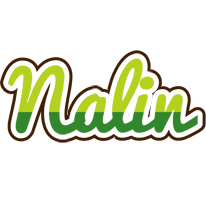 Nalin golfing logo