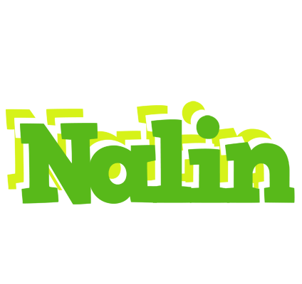 Nalin picnic logo