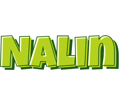 Nalin summer logo
