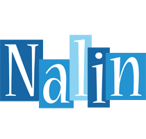 Nalin winter logo