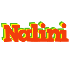 Nalini bbq logo