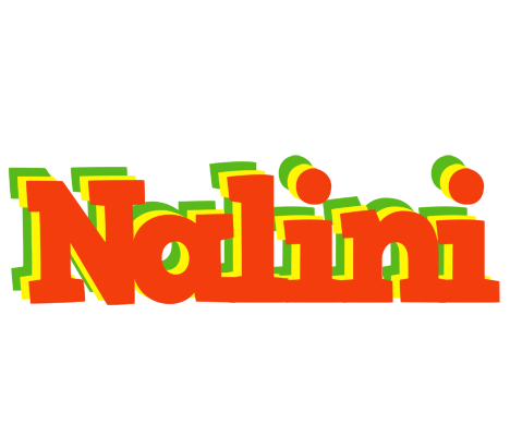 Nalini bbq logo