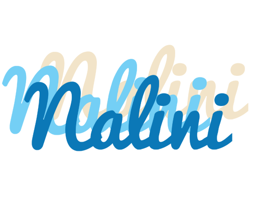 Nalini breeze logo