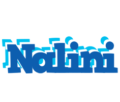 Nalini business logo