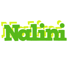 Nalini picnic logo