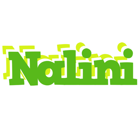Nalini picnic logo