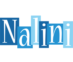 Nalini winter logo