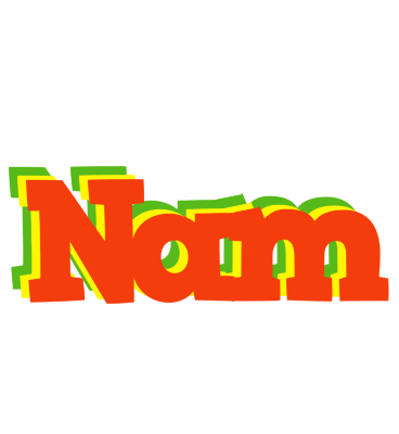 Nam bbq logo