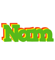 Nam crocodile logo