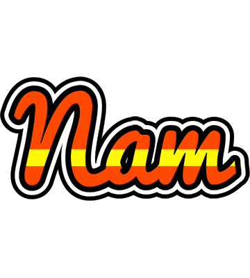 Nam madrid logo