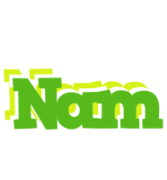 Nam picnic logo