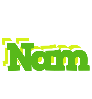 Nam picnic logo