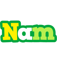 Nam soccer logo