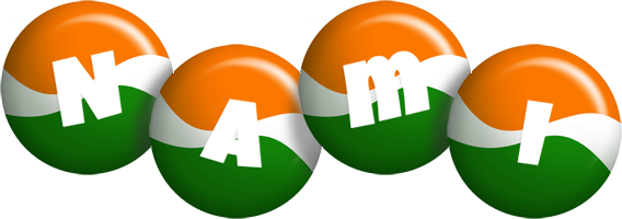 Nami india logo