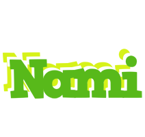 Nami picnic logo