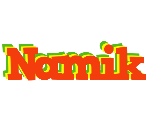 Namik bbq logo