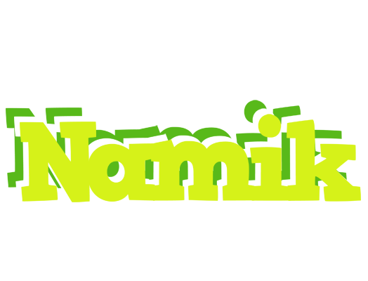 Namik citrus logo
