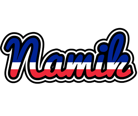 Namik france logo