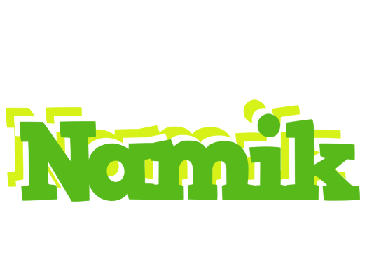 Namik picnic logo